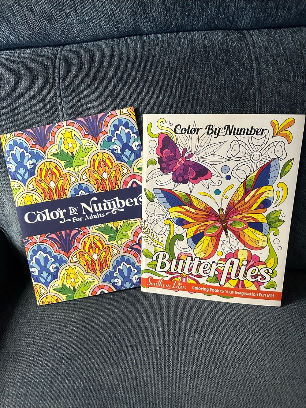 Color By Number Set of 2 Adult Coloring Books